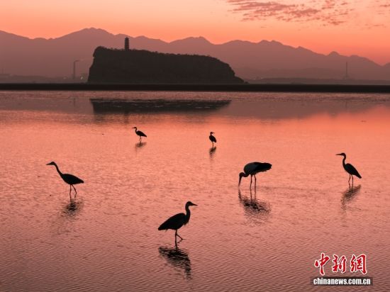 ����۶ꖺ�Ьɽˮ��ӭ���B�w��߷�